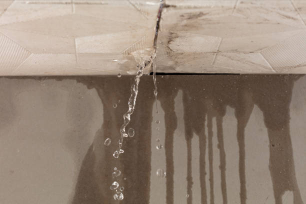 Professional Structural Drying technician working in Raleigh, MS
